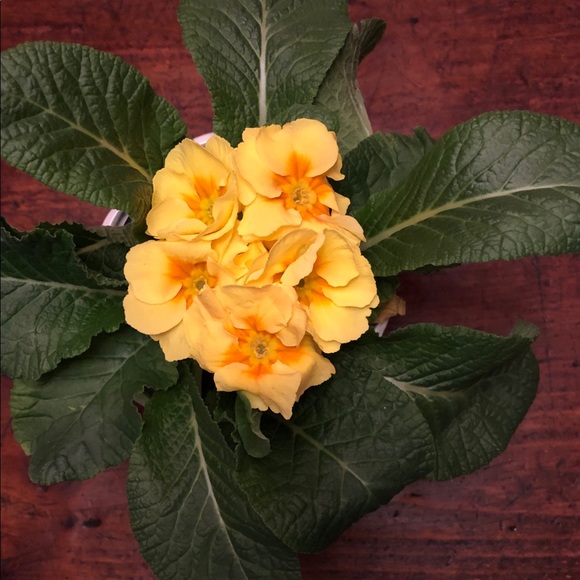 Summer , Fall, Winter and Spring clothes . 👗👠👒 - Picture 2 of 9